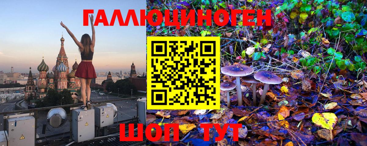 Луховицы  Псилоцибиновые грибы MAGIC MUSHROOMS  Вход с VPN  Псилоцибиновые грибы мицелий 